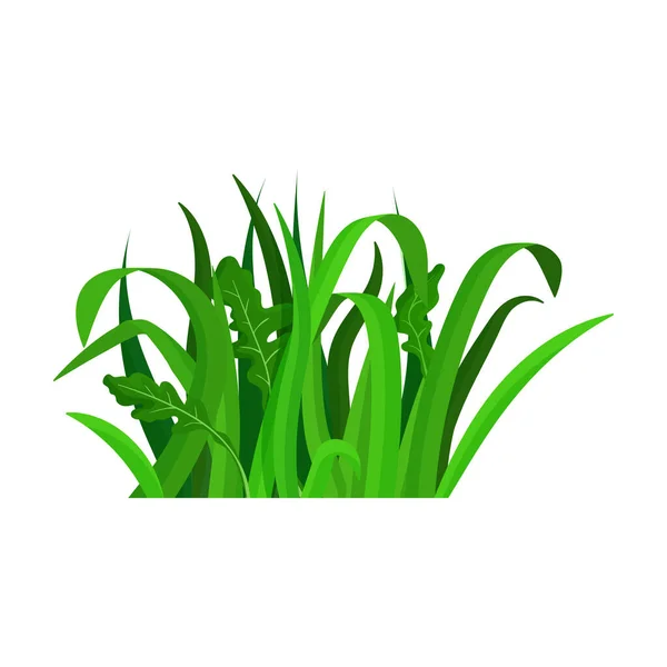 Grönt gräs vektor ikon.Tecknad vektor ikon isolerad på vit bakgrund grönt gräs. — Stock vektor