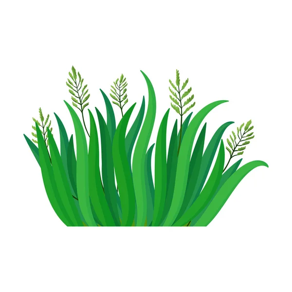 Zöld fű vektor ikon.Rajzfilm vektor ikon elszigetelt fehér háttér zöld fű. — Stock Vector
