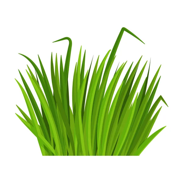 Yeşil çimen vektör simgesi. Çizgi film vektör simgesi beyaz arkaplan yeşil çimenler üzerinde izole. — Stok Vektör