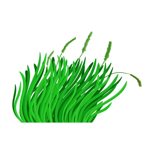 Groen gras vector icon.Cartoon vector pictogram geïsoleerd op witte achtergrond groen gras. — Stockvector