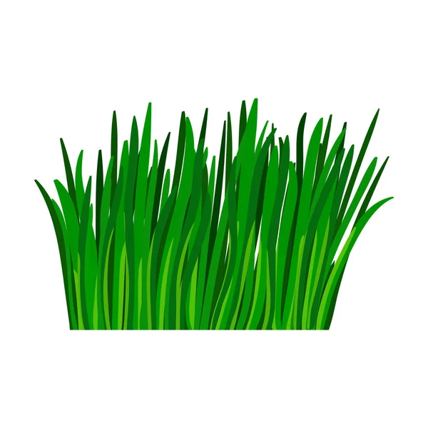 Grönt gräs vektor ikon.Tecknad vektor ikon isolerad på vit bakgrund grönt gräs. — Stock vektor