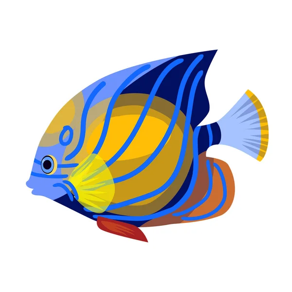 Tropical fish vector icon.Cartoon vector icon isolated on white background tropical fish. — Stock Vector