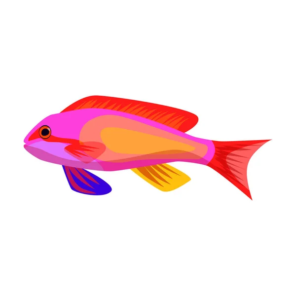 Tropical fish vector icon.Cartoon vector icon isolated on white background tropical fish. — Stock Vector