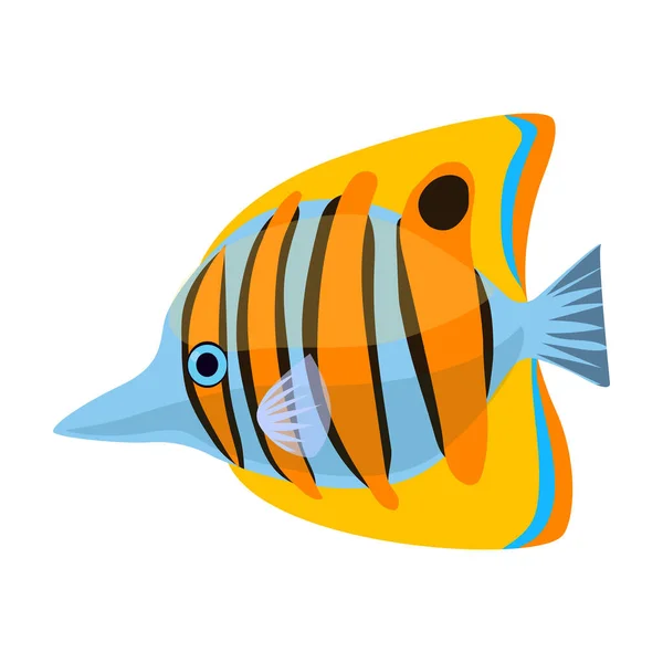Tropical fish vector icon.Cartoon vector icon isolated on white background tropical fish. — Stock Vector