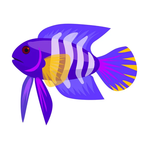 Tropical fish vector icon.Cartoon vector icon isolated on white background tropical fish. — Stock Vector