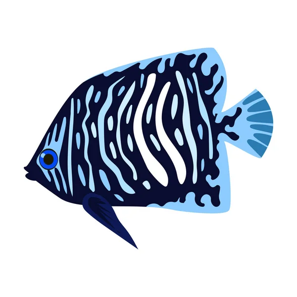 Tropical fish vector icon.Cartoon vector icon isolated on white background tropical fish. — Stock Vector