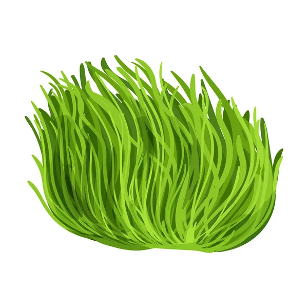 바다 잡초 벡터 icon.Cartoon vector icon, 흰 배경 해초에 분리. — 스톡 벡터