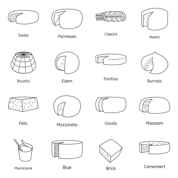 Objeto aislado de producto y signo alimenticio. Colección de productos e ícono de vectores lácteos para stock . — Archivo Imágenes Vectoriales