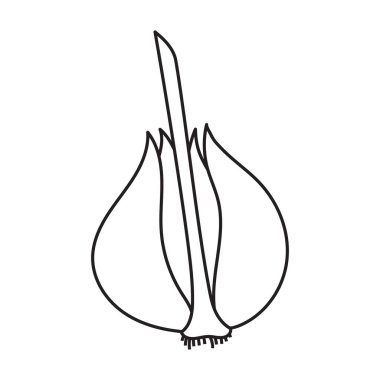 Sarımsak vektör simgesi. Beyaz arkaplan sarımsağında izole edilmiş dış hat vektör simgesi. .