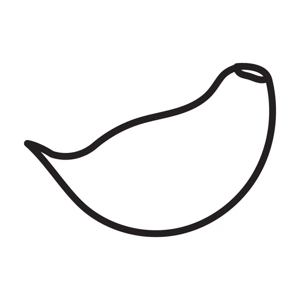 Clavo del icono del vector del ajo.Icono del vector del contorno aislado en el diente de fondo blanco del ajo  . — Vector de stock