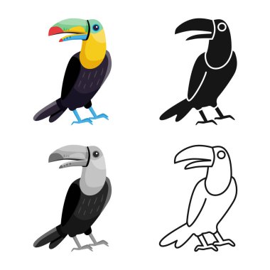 Tukan ve kuş simgesinin vektör tasarımı. Stok için tukan ve orman vektör simgesi koleksiyonu.