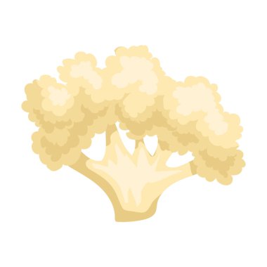 Karnabahar vektör simgesi. Karikatür vektör simgesi beyaz arkaplan karnabaharı üzerinde izole edildi.