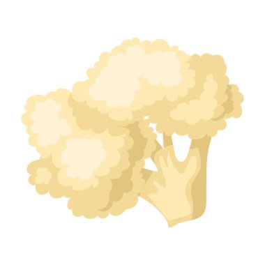 Karnabahar vektör simgesi. Karikatür vektör simgesi beyaz arkaplan karnabaharı üzerinde izole edildi.