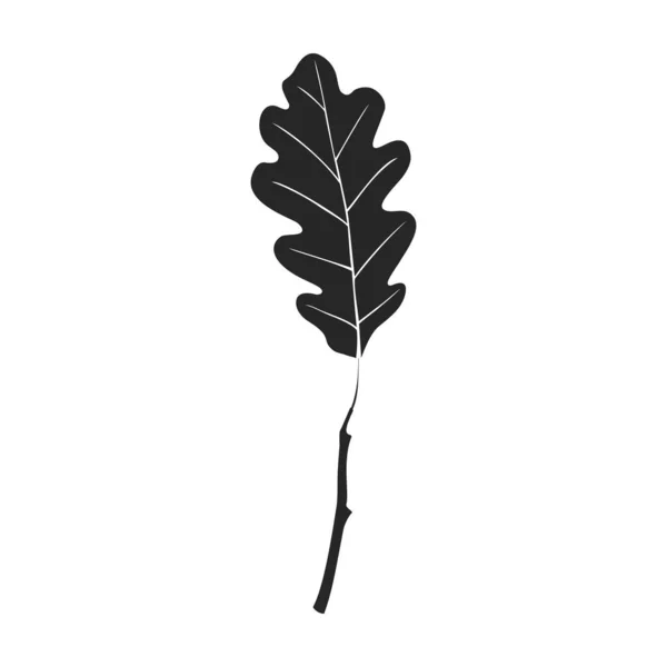 Ikona wektora liścia dębu Czarny wektor ikony izolowane na białym tle liści dębu. — Wektor stockowy