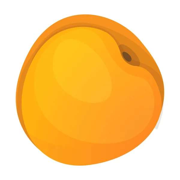 Apricot vector icon.Cartoon vector icon isolated on white background apricot. — Stock Vector