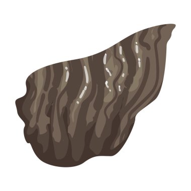 İstiridye vektör simgesi. Beyaz arkaplan istiridyesinde izole edilmiş çizgi film vektör simgesi..