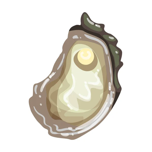 Oester vector icon.Cartoon vector pictogram geïsoleerd op witte achtergrond oester. — Stockvector