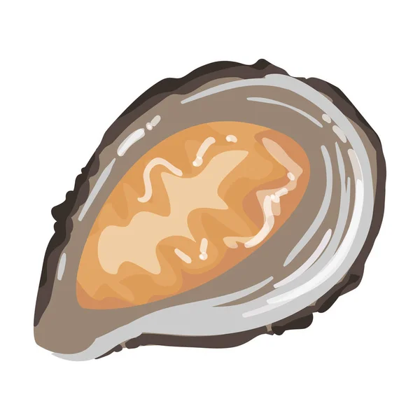 Oester vector icon.Cartoon vector pictogram geïsoleerd op witte achtergrond oester. — Stockvector