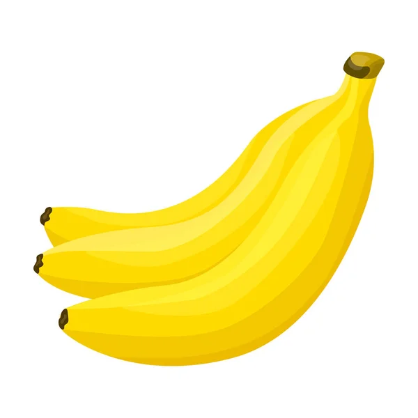 Bunch banana vetor icon.Cartoon vetor ícone isolado no fundo branco bando banana . — Vetor de Stock