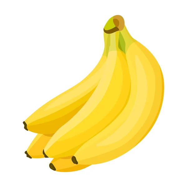 Bunch banán vektor ikon.Rajzfilm vektor ikon elszigetelt fehér háttér csomó banán. — Stock Vector