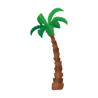 Palmiye ağacı vektör simgesi. Çizgi film vektör simgesi beyaz arkaplan palmiye ağacında izole edildi.