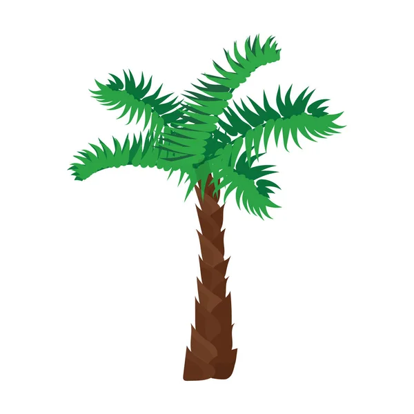 Icono de vector de palmera. Icono de vector de dibujos animados aislado en palmera de fondo blanco . — Vector de stock