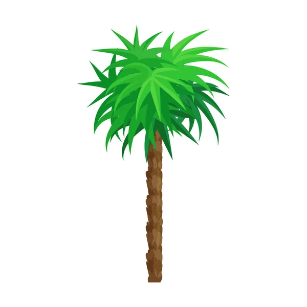 Icono de vector de palmera. Icono de vector de dibujos animados aislado en palmera de fondo blanco . — Vector de stock