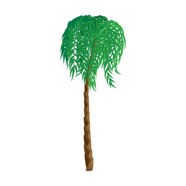 Ikona wektora drzewa palmowego.Ikona wektora kreskówki izolowane na białym tle palmy. — Wektor stockowy