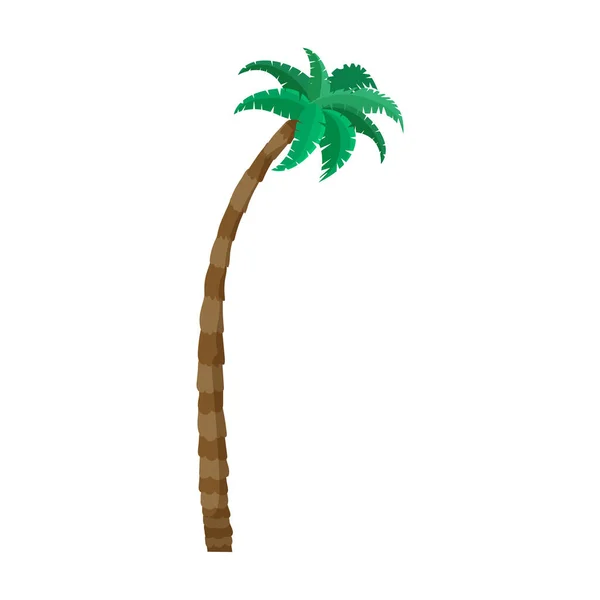 Icono de vector de palmera. Icono de vector de dibujos animados aislado en palmera de fondo blanco . — Vector de stock