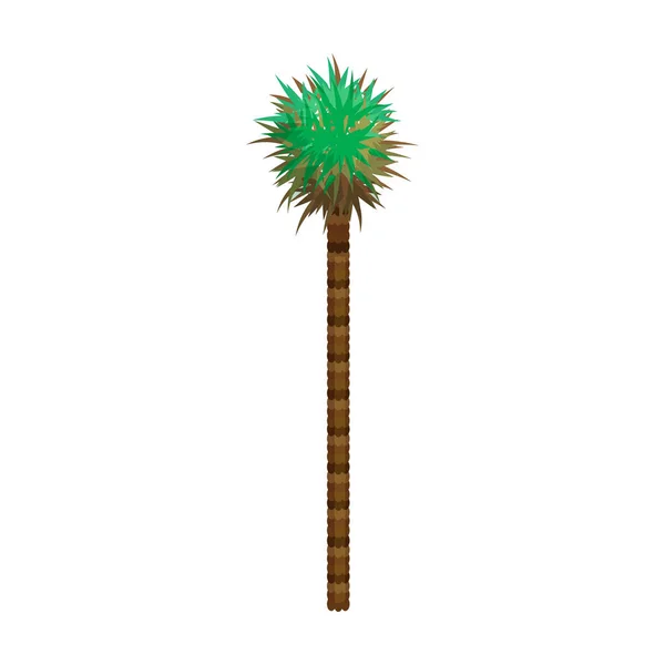 Icono de vector de palmera. Icono de vector de dibujos animados aislado en palmera de fondo blanco . — Vector de stock