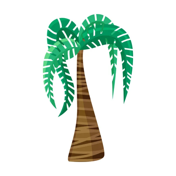 Palm tree vector icon.Cartoon vector icon isolated on white background palm tree. — Stock Vector