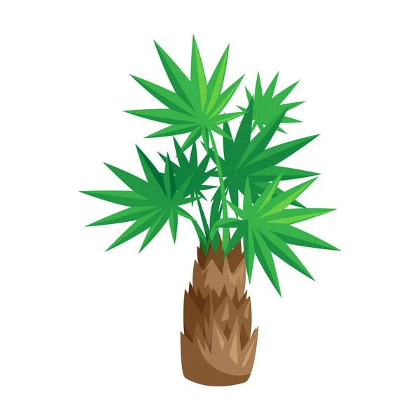 Palm tree vector icon.Cartoon vector icon isolated on white background palm tree. — Stock Vector