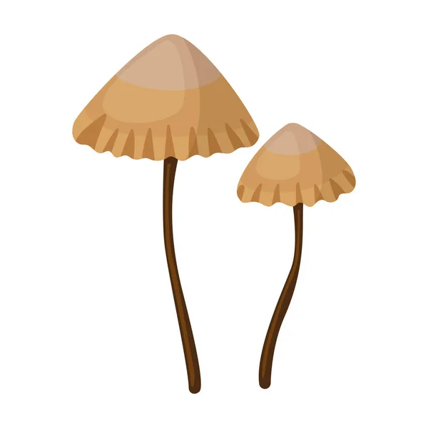 Icona vettoriale del fungo. Icona vettoriale del fumetto isolata sul fungo bianco dello sfondo . — Vettoriale Stock