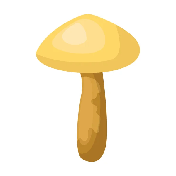 Poisonous mushroom vector icon.Cartoon vector icon isolated on white background poisonous mushroom. — Stock Vector