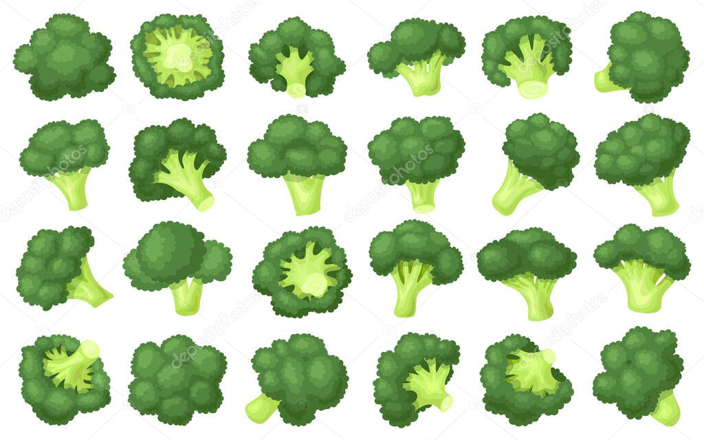 Broccoli crumbs vector cartoon set icon. Vector illustration brocolli cabbage on white background. Isolated cartoon set icon broccoli.