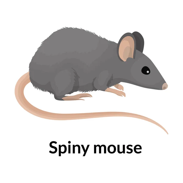Muis vector icon.Cartoon vector pictogram geïsoleerd op witte achtergrond muis. — Stockvector