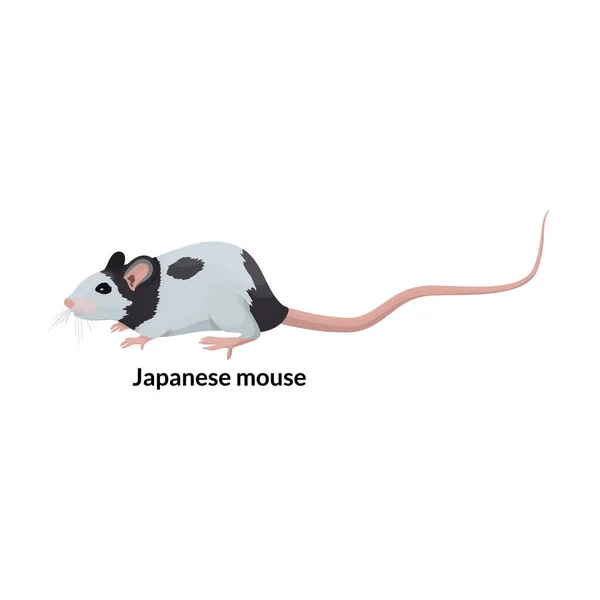 Icona vettoriale del mouse. Icona vettoriale del fumetto isolata sul mouse di sfondo bianco. — Vettoriale Stock