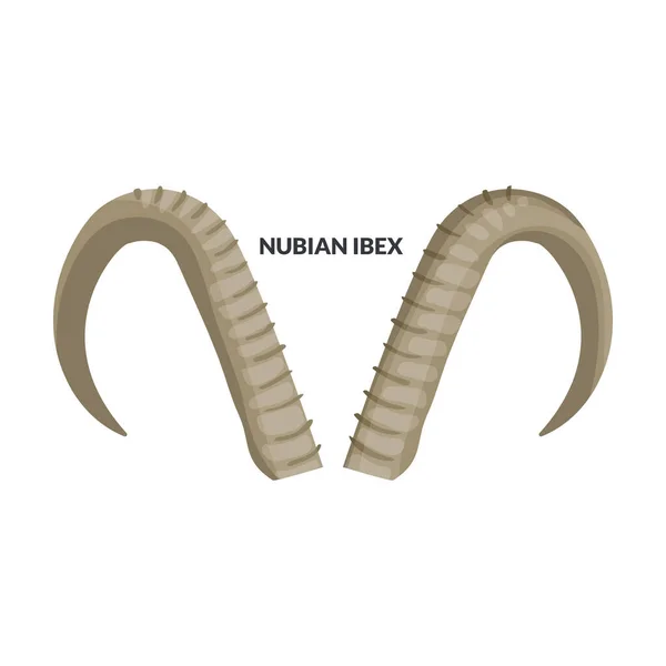 Horn nubian ibex vector icon.Cartoon vector icon isolated on white background horn nubian ibex. - Stok Vektor