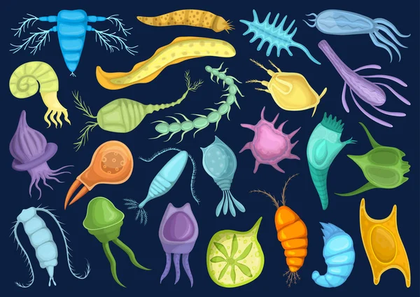 Plankton διάνυσμα εικονίδιο σύνολο κινουμένων σχεδίων. Μεμονωμένο εικονίδιο συνόλου κινουμένων σχεδίων phytoplankton.Vector εικονίδιο plankton σε λευκό φόντο. — Διανυσματικό Αρχείο