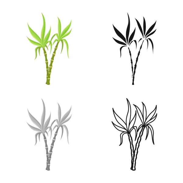 Diseño vectorial de símbolo vegetal y azucarero. Gráfico de vegetal y icono de vectores de caña para stock . — Vector de stock