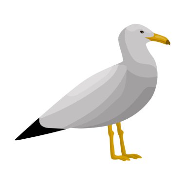 Kuş martı vektör simgesi. Çizgi film vektör simgesi beyaz arkaplan kuş martısında izole edildi.