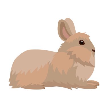 Tavşan vektör simgesi. Beyaz arka plan tavşanı üzerinde izole edilmiş çizgi film vektör simgesi..