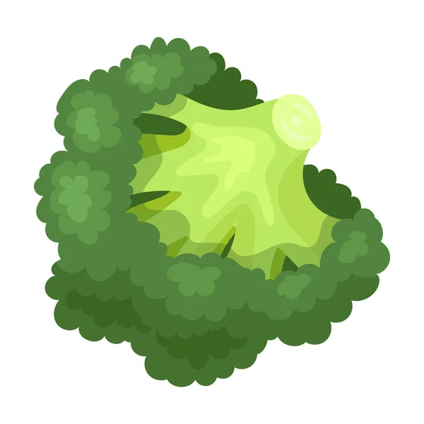 Brokkoli-Vektorsymbol. Cartoon-Vektorsymbol isoliert auf weißem Hintergrund Brokkoli. — Stockvektor