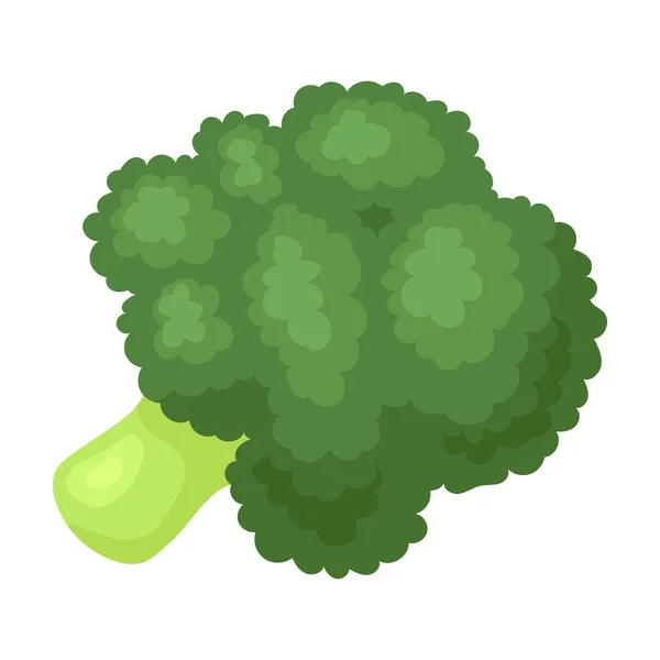 Icona vettoriale Broccoli. Icona vettoriale dei cartoni animati isolata su sfondo bianco broccoli . — Vettoriale Stock