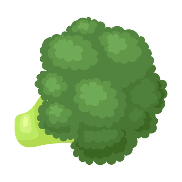 Icona vettoriale Broccoli. Icona vettoriale dei cartoni animati isolata su sfondo bianco broccoli . — Vettoriale Stock