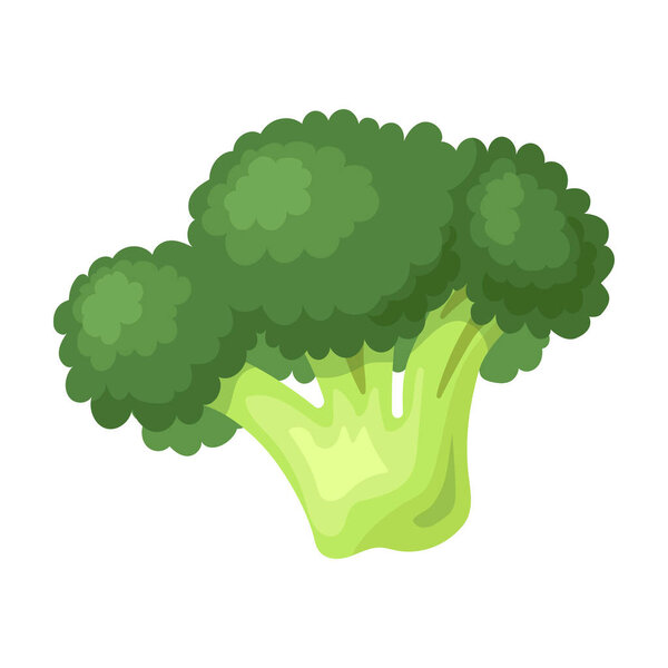 Broccoli vector icon.Cartoon vector icon isolated on white background broccoli.