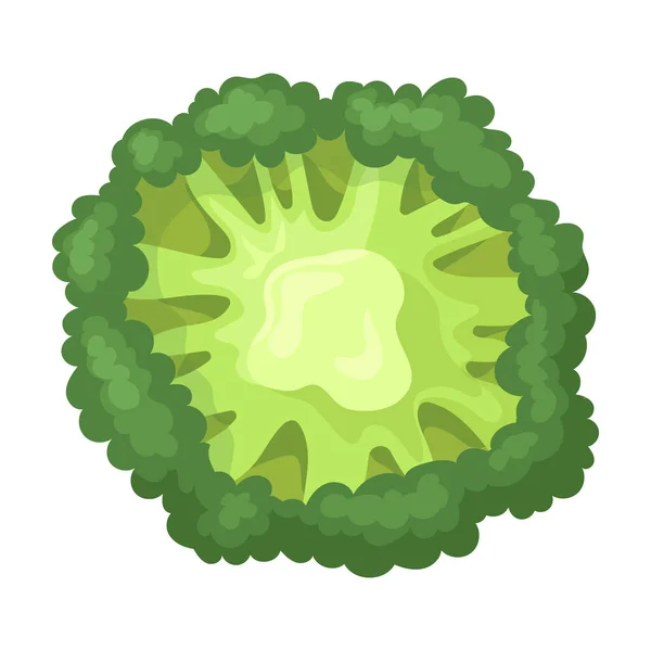 Icône vectorielle brocoli Icône vectorielle dessin animé isolée sur fond blanc brocoli . — Image vectorielle