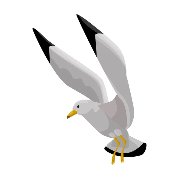 Icône vectorielle de mouette d'oiseau.Icône vectorielle de bande dessinée isolée sur fond blanc Mouette d'oiseau . — Image vectorielle