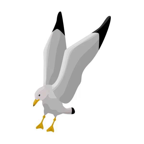 Icono de vector de gaviota de pájaro. Icono de vector de dibujos animados aislado en fondo blanco . — Archivo Imágenes Vectoriales