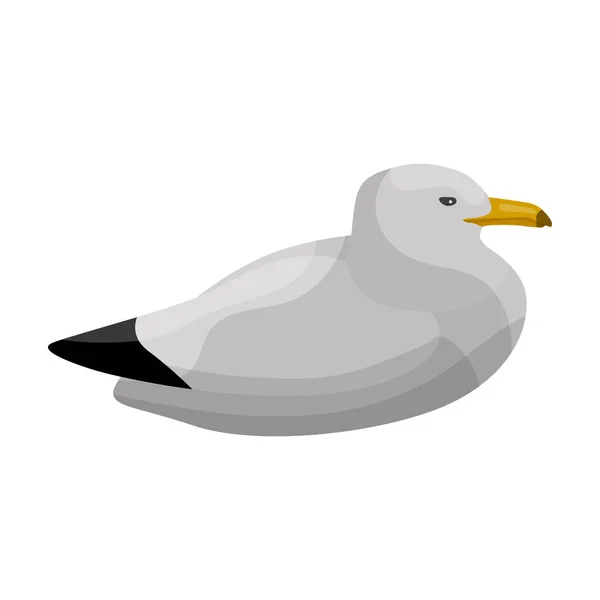 Bird gull vector icon.Cartoon vector icon isolated on white background bird gull. — 스톡 벡터